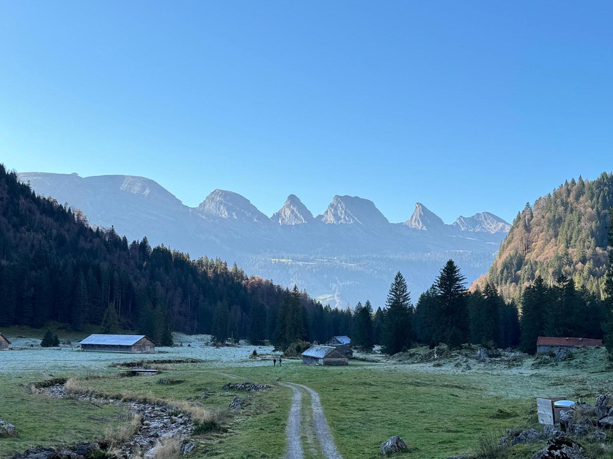 Zwinglis Ferienwohnung Nesslau Bagian luar foto